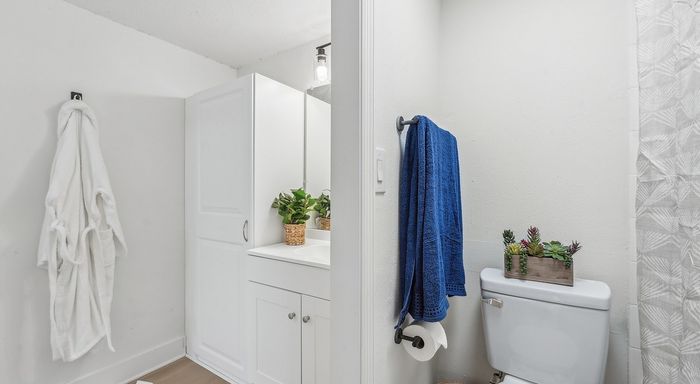 Elegant bathroom with modern vanity, bright decor, vibrant blue towel, and stylish plant accents.