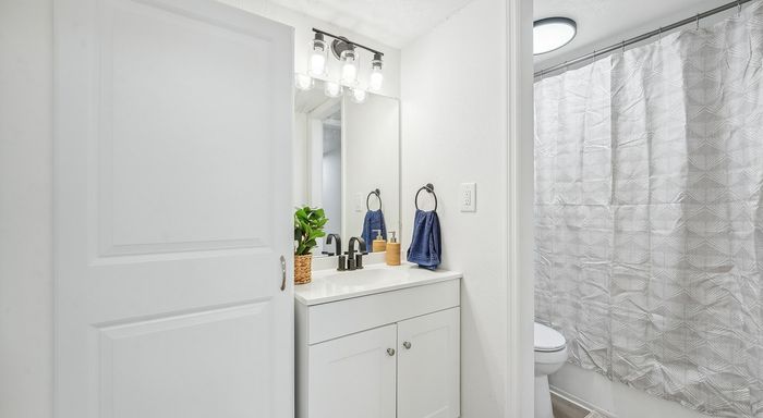 Bright and modern bathroom with elegant vanity, stylish lighting, and plant accent.