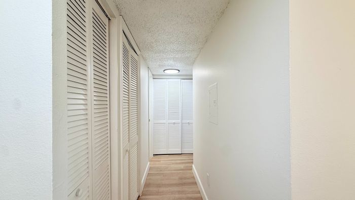 Bright, welcoming hallway with stylish white louvered closet doors and elegant wood flooring, perfect for modern living.