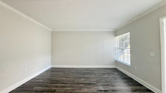 Bright, spacious room with elegant hardwood floors and a large window offering abundant natural light.