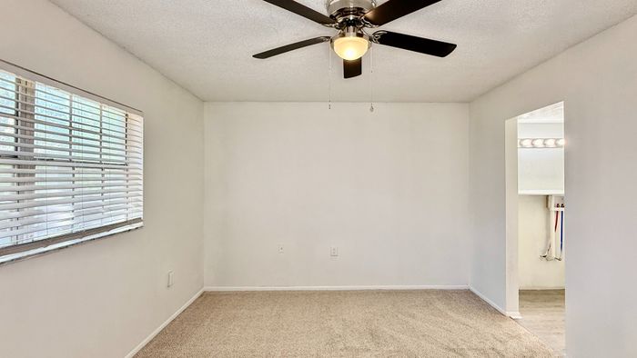 Bright room with plush carpet, elegant ceiling fan, and natural light from wide window blinds.