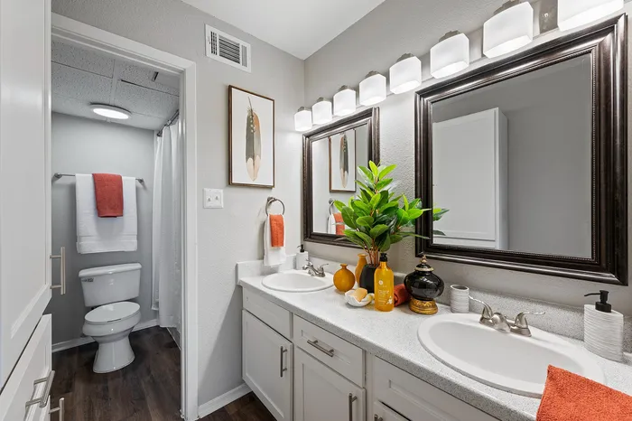 Hilltop 2 bed 1 bath model main bathroom