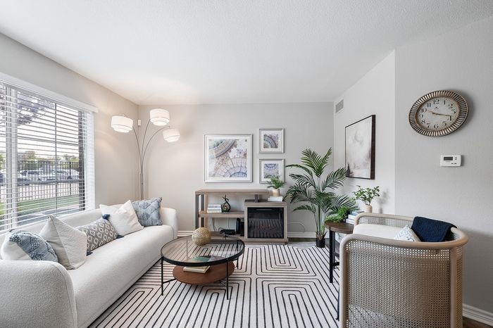 Bright and inviting living room with modern decor, featuring a cozy white sofa with decorative pillows, stylish armchair, and lush green plants.
