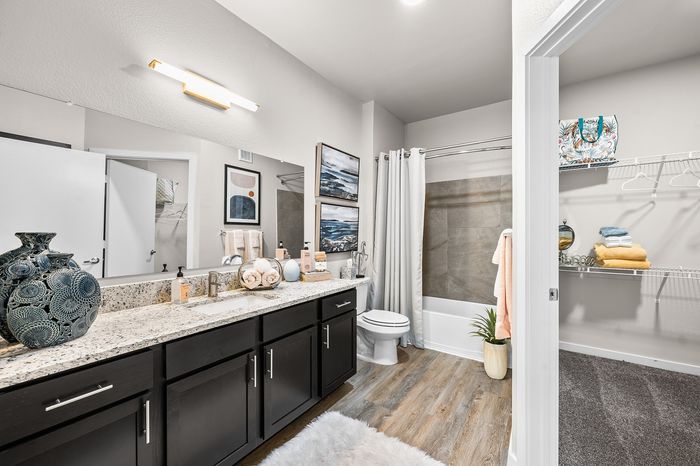 Luxurious bathroom with elegant granite countertops, dual sinks, and chic decor, connecting to a spacious walk-in closet.
