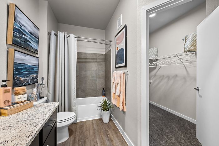 Elegant bathroom with granite countertop, stylish artworks, and inviting bathtub, adjacent to spacious walk-in closet.