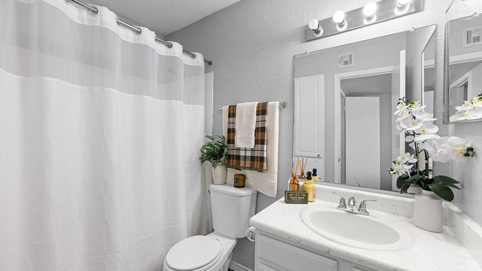 Elegant bathroom with modern fixtures, featuring a white vanity, decorative potted orchids, and a plaid towel set for a cozy, stylish ambiance.