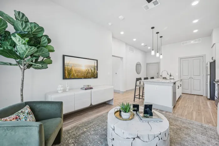 Model 1 bed- 1 bath Livingroom