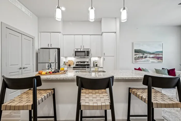 Model 1 bed- 1 bath Kitchen with Island Bar