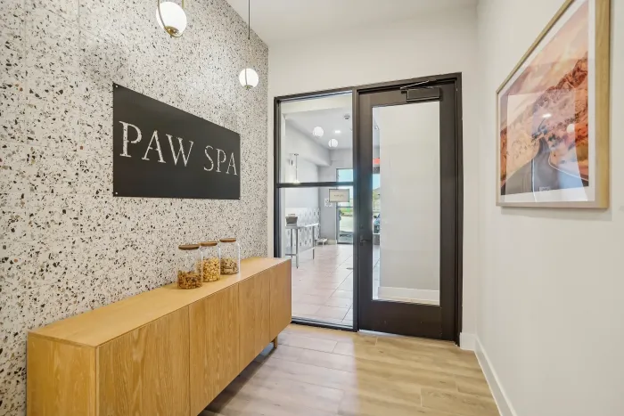 The Fitz Dog Wash and Grooming Room