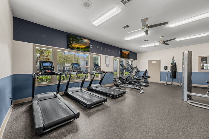 Modern, well-equipped fitness center with treadmills, stationary bikes, and a punch bag, featuring large windows for natural light.