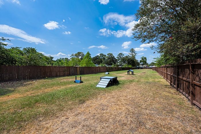Expansive outdoor agility area bordered by a wooden fence, set under a vibrant blue sky&mdash;perfect for pets to play and explore.
