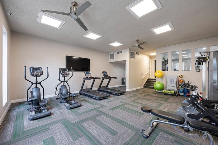 Modern apartment fitness center with state-of-the-art equipment, including treadmills, ellipticals, and a weight bench in a well-lit, spacious room.