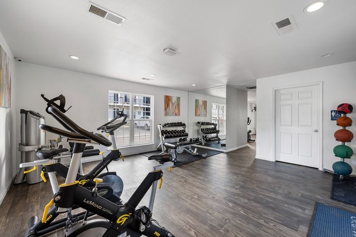 Modern fitness room with sleek exercise bikes, a full set of dumbbells next to a large mirror, and vibrant wall art.
