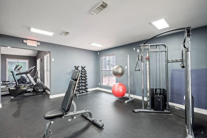 Modern fitness center equipped with exercise machines and weights, offering a bright and inviting space for workouts.