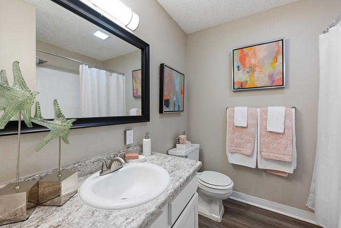 The Palm on SPID - Modern Bathroom