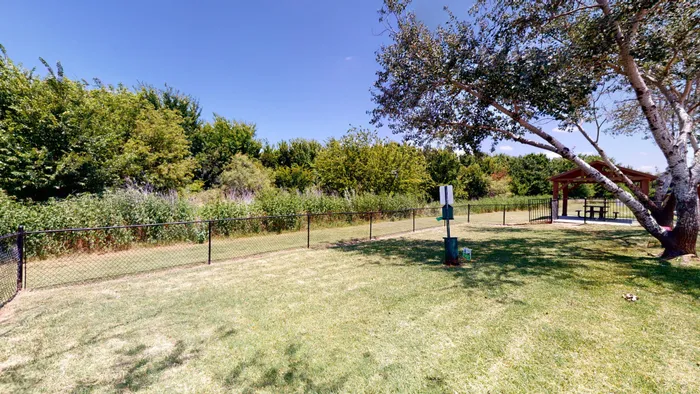Dog Park