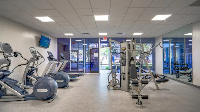 Modern fitness center with state-of-the-art cardio equipment, weight machines, and vibrant glass wall view.
