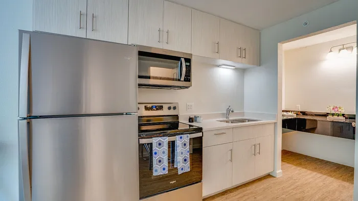 Modern kitchen with sleek stainless steel appliances, elegant cabinetry, and stylish lighting, offering a perfect blend of functionality and aesthetics.