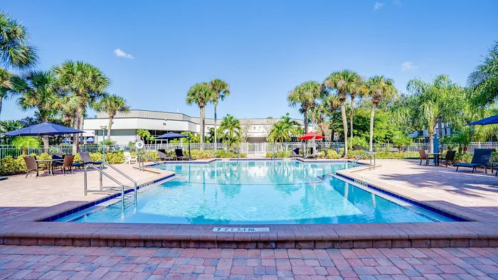 Inviting outdoor swimming pool with surrounding palm trees and cozy lounge seating, perfect for relaxation and leisure.