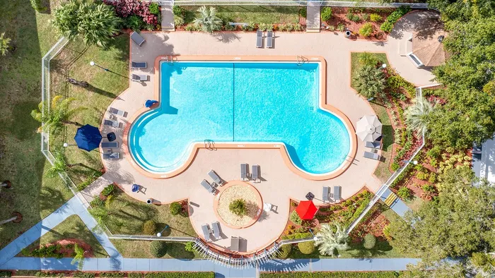 Aerial view of a luxurious pool area with tropical landscaping, sun loungers, and shaded seating, perfect for relaxation and entertainment.