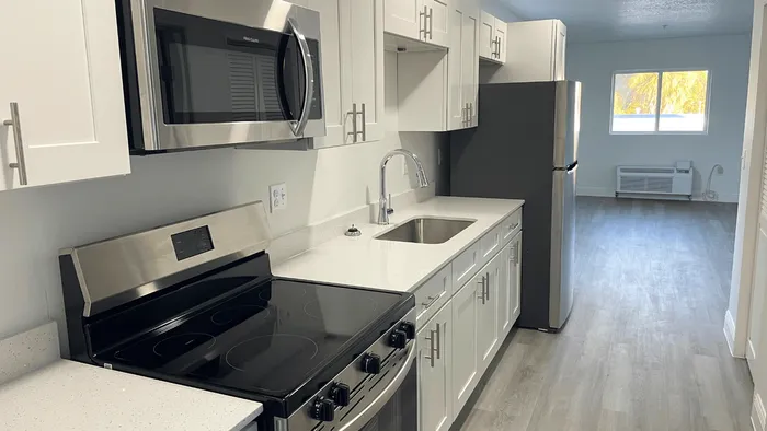 Modern kitchen with sleek stainless steel appliances, pristine white cabinetry, and an airy layout leading to a bright living area.