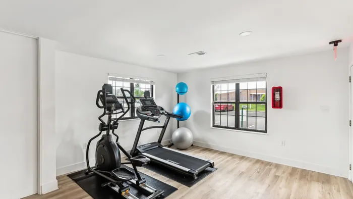 Modern fitness room featuring a treadmill, exercise bike, and vibrant exercise balls, set against sleek wooden flooring and bright natural light.
