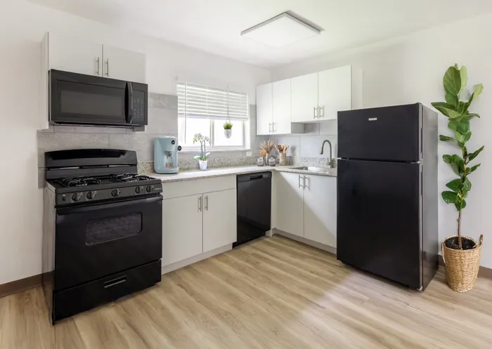 Kingston - Modern Kitchen