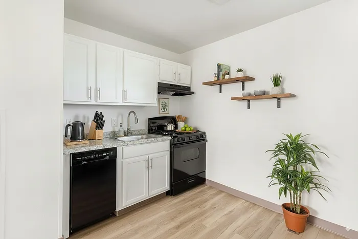 Kingston - Modern Kitchen