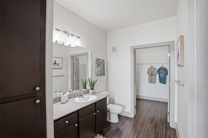 Bathroom | Apartments for rent in Waco, TX | Domain at Waco