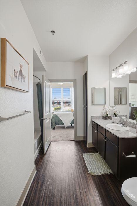 Bathroom | Apartments for rent in Waco, TX | Domain at Waco