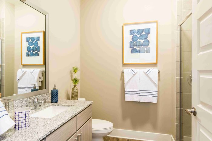 Bathroom with a wide vanity, toilet, bathtub and shower.