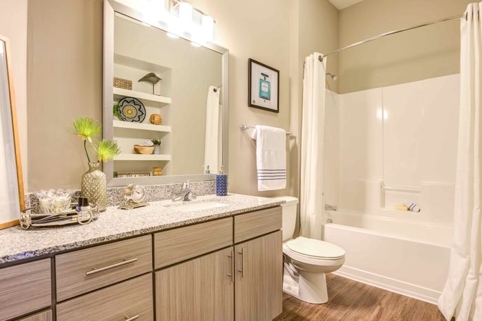 Bathroom with a wide vanity, toilet, bathtub and shower.