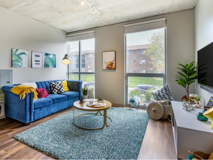 couch, tv, lamp, media stand, coffee table, rug