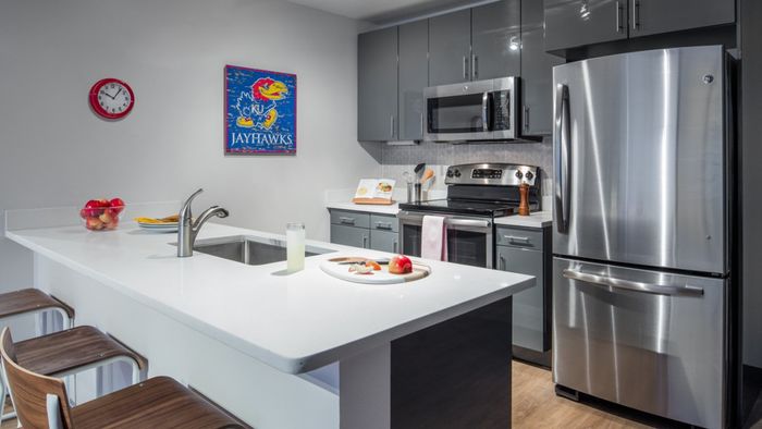 Kitchens with stainless steel appliances and utilities and finishes, apartments