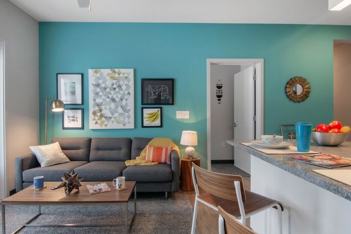 fully furnished apartment, living room, open concept