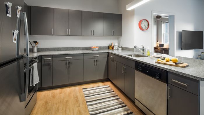 Kitchens with stainless steel appliances and utilities and finishes, apartments, dishwasher, Island