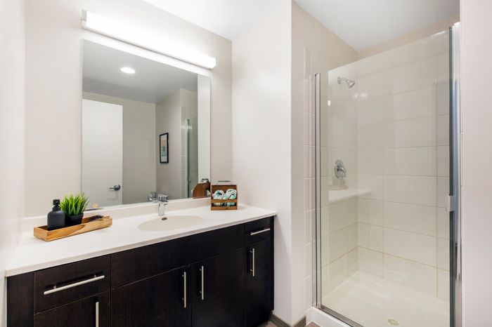 glass shower door, bathroom, apartment