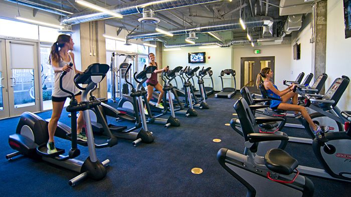 Fitness Center, Weight Machines, Cardio equipment