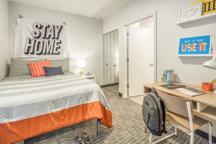 Spacious Bedroom | Columbia Missouri Apartments | Rise on 9th