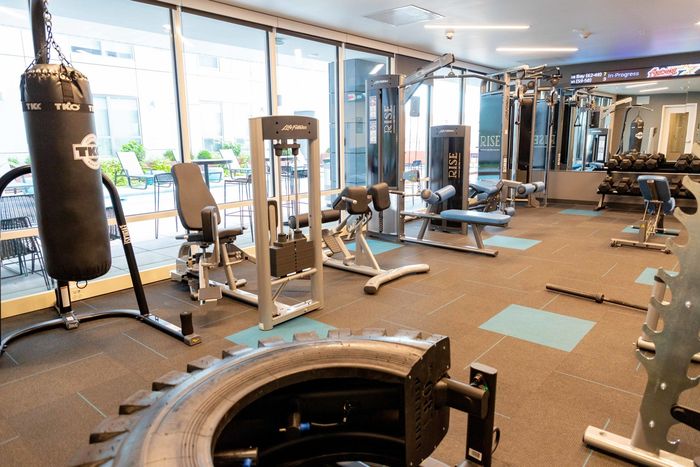 Amenties, student living, weight room, gym