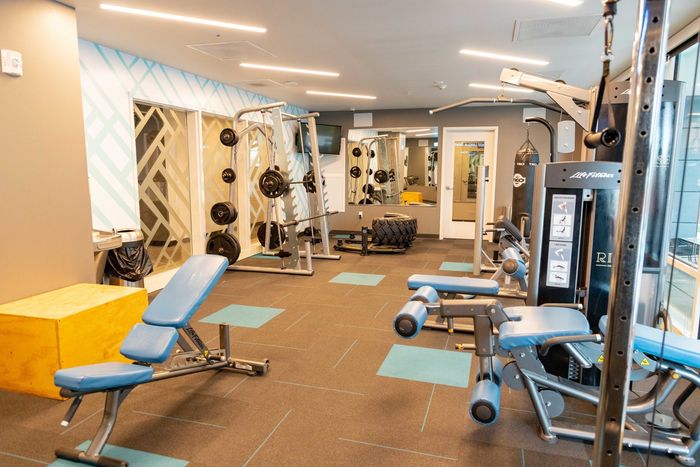 weights, machines, boxing, crossfit