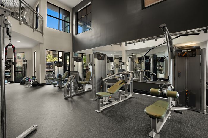 State-of-the-Art Fitness Center | Apartment Homes in Columbia, SC | Station at Five Points