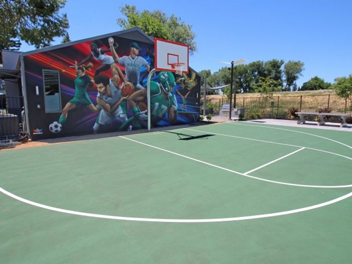 Basketball court