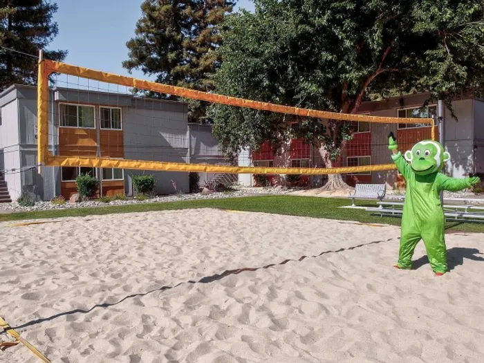 Volleyball court