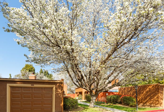 Fresno CA Apartments | The Lexington