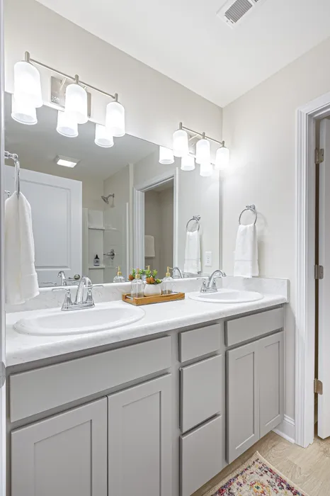 Bathroom | Snowmass Townhomes | Single Family Homes For Rent in Knoxville, TN