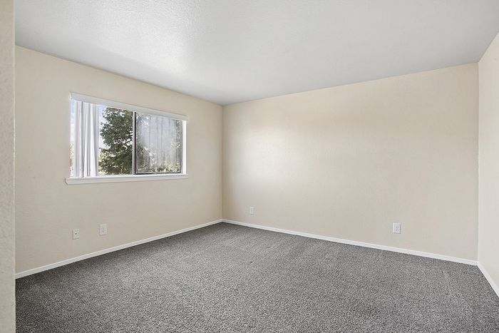 Bright and spacious bedroom with plush carpeting and large window offering natural light.
