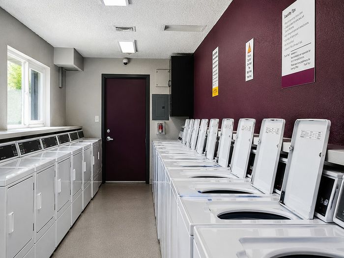 Contemporary laundry room with multiple washing machines, bright natural light, and sleek design.