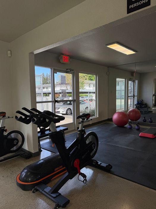 Bright and modern fitness room featuring exercise bikes, yoga mats, and vibrant exercise balls with large windows offering natural light.