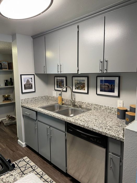 Modern kitchen with sleek gray cabinets, granite countertops, and stylish stainless steel appliances, ideal for culinary enthusiasts.